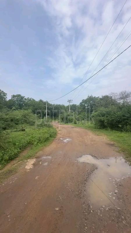 Residential Land for Sale in Kataragama ads-image-1