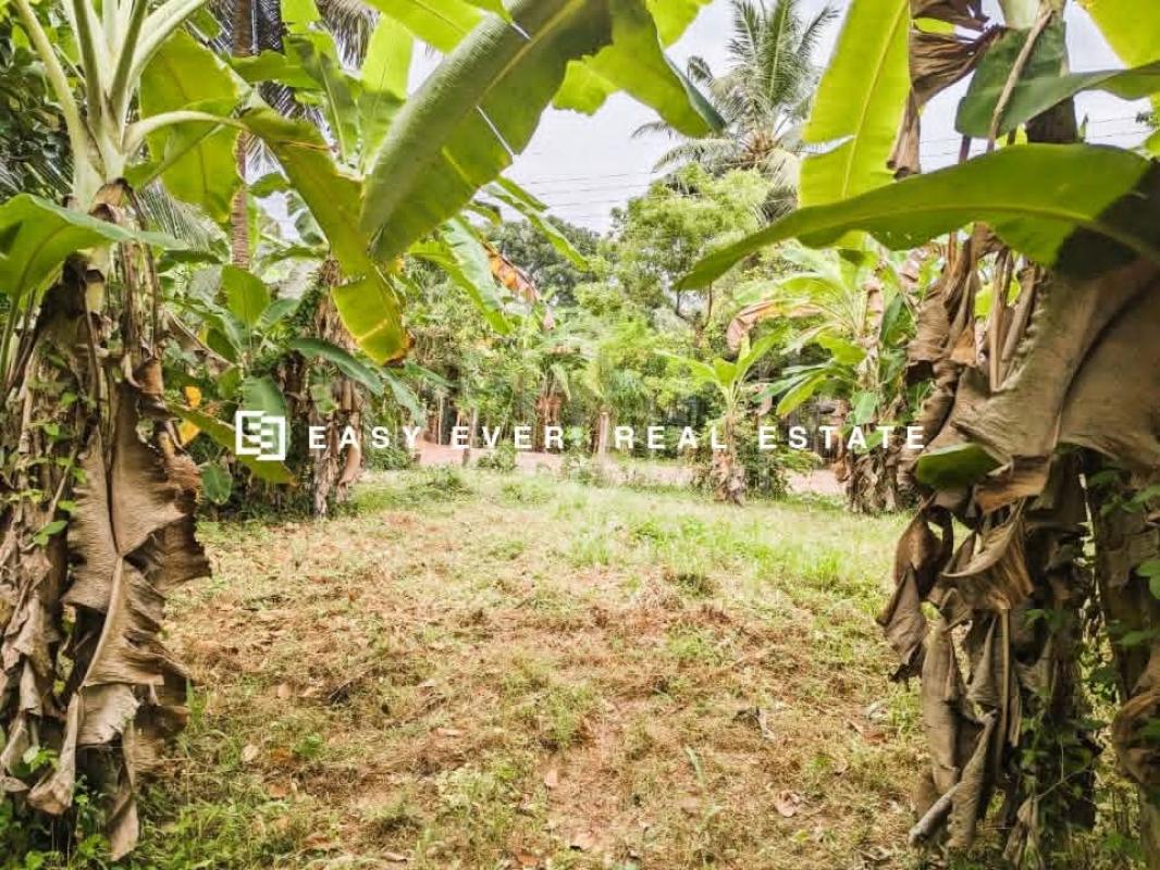 Residential Land for Sale in Nittambuwa