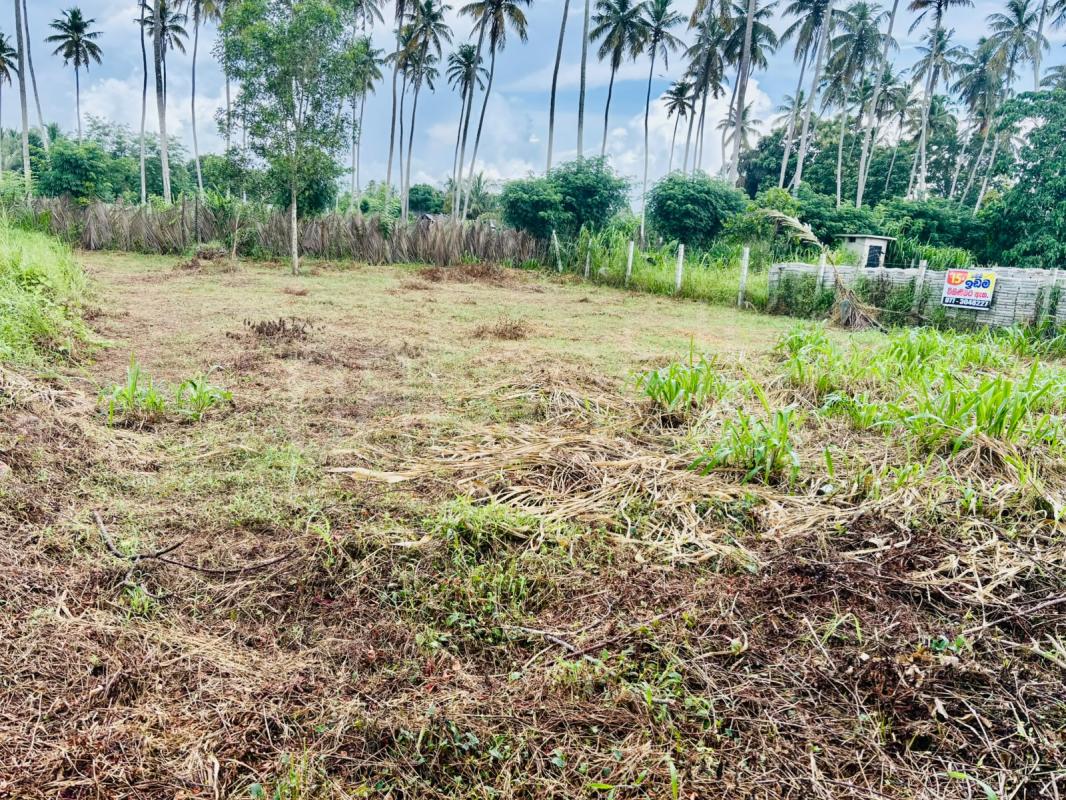 Commercial Land for Sale in Gampaha