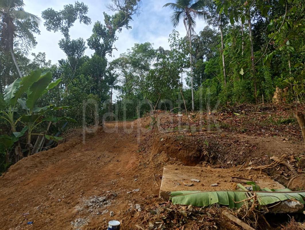 Residential Land for Sale in Hakmana