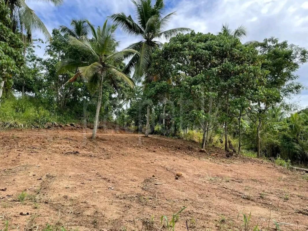 Residential Land for Sale in Weligatta