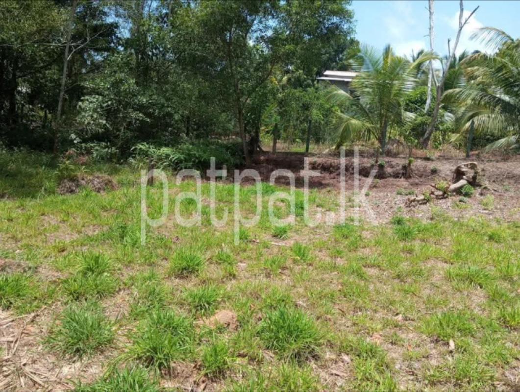 Residential Land for Sale in Panadura ads-image-1