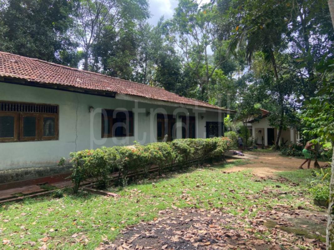 Residential Land for Sale in Raddolugama ads-image-1