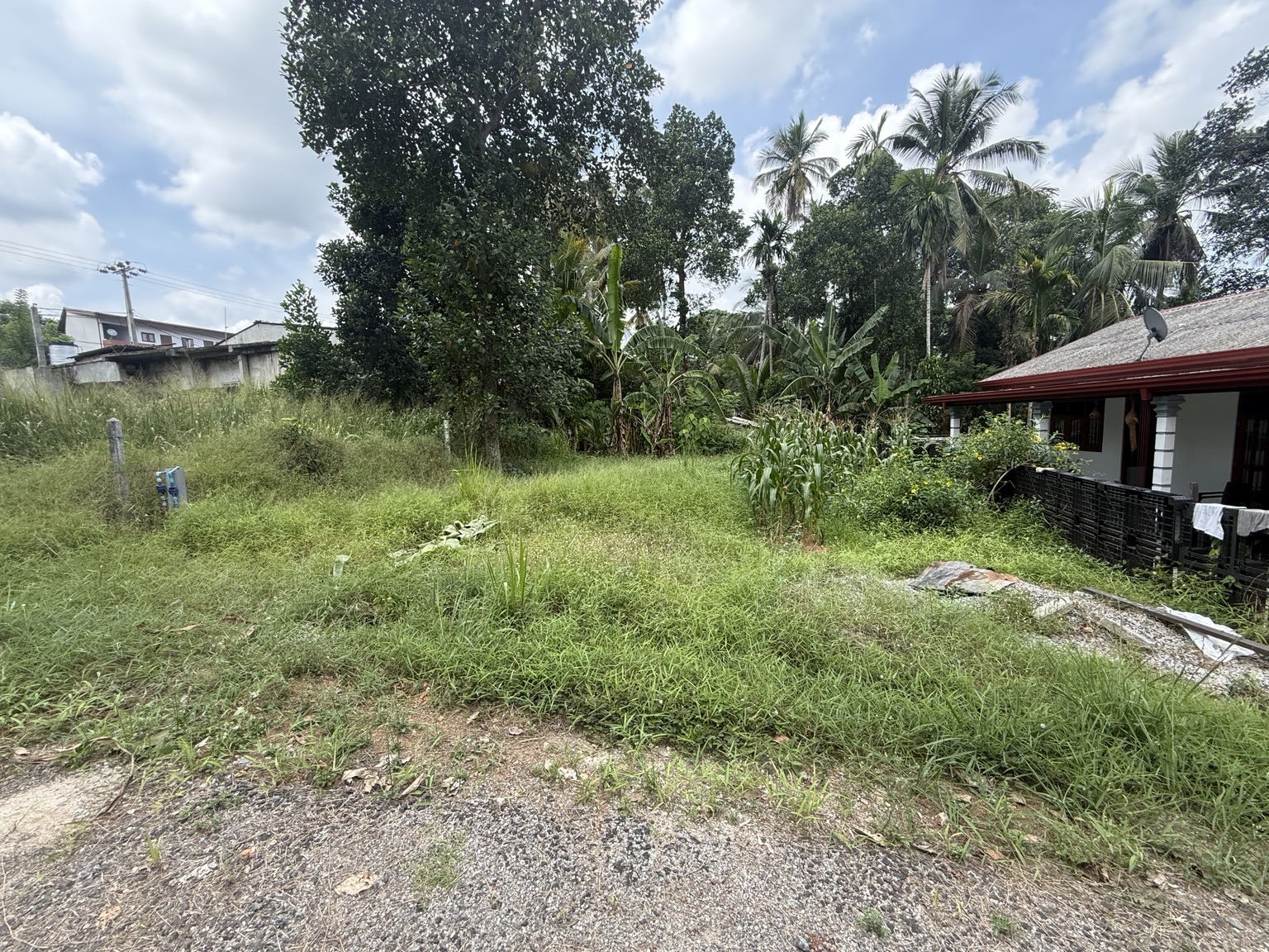 Residential Land for Sale in Kottawa ads-image-1