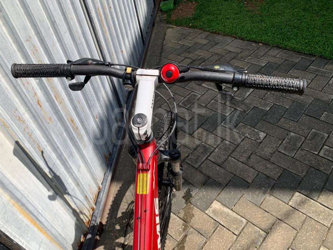 Advertisement image 3