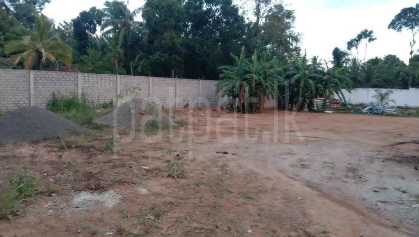 Agricultural Land for Sale in Middeniya