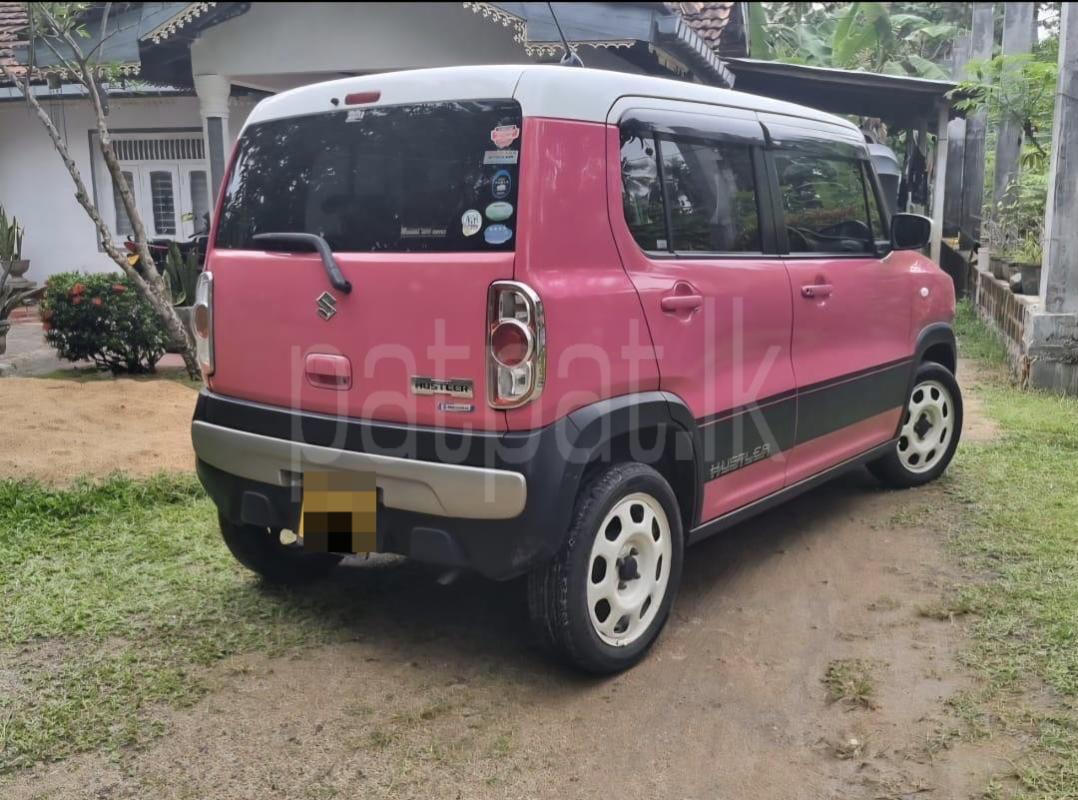 Advertisement image 2