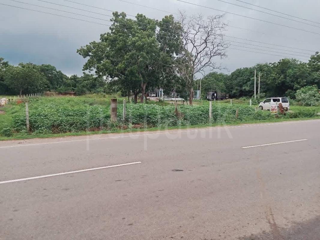 Residential Land for Sale in Ambalantota ads-image-1
