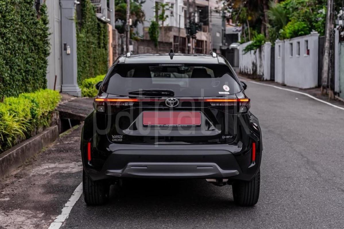 Advertisement image 3