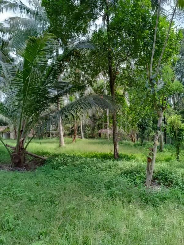  Land for Sale in Divulapitiya