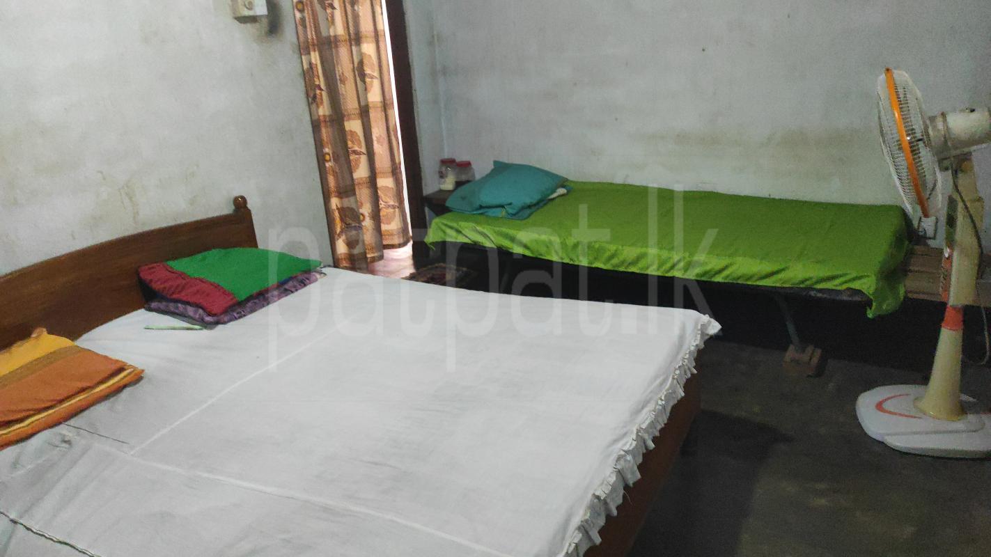 House for Sale in Kochchikade