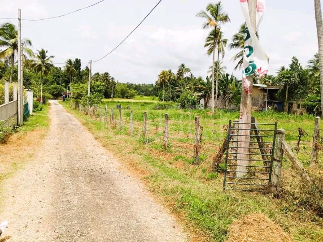 Commercial Land for Sale in Minuwangoda ads-image-1