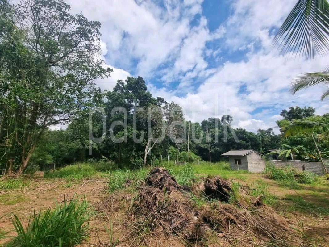 Residential Land for Sale in Kandana ads-image-1