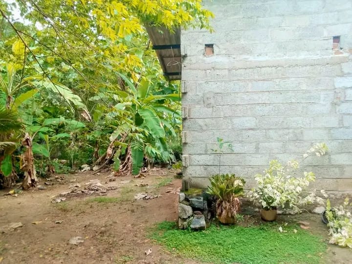 Commercial Land for Sale in Kurunegala ads-image-1