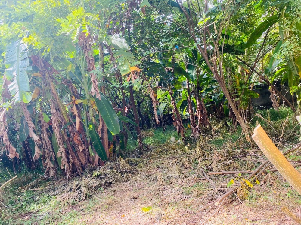 Residential Land for Sale in Nugegoda