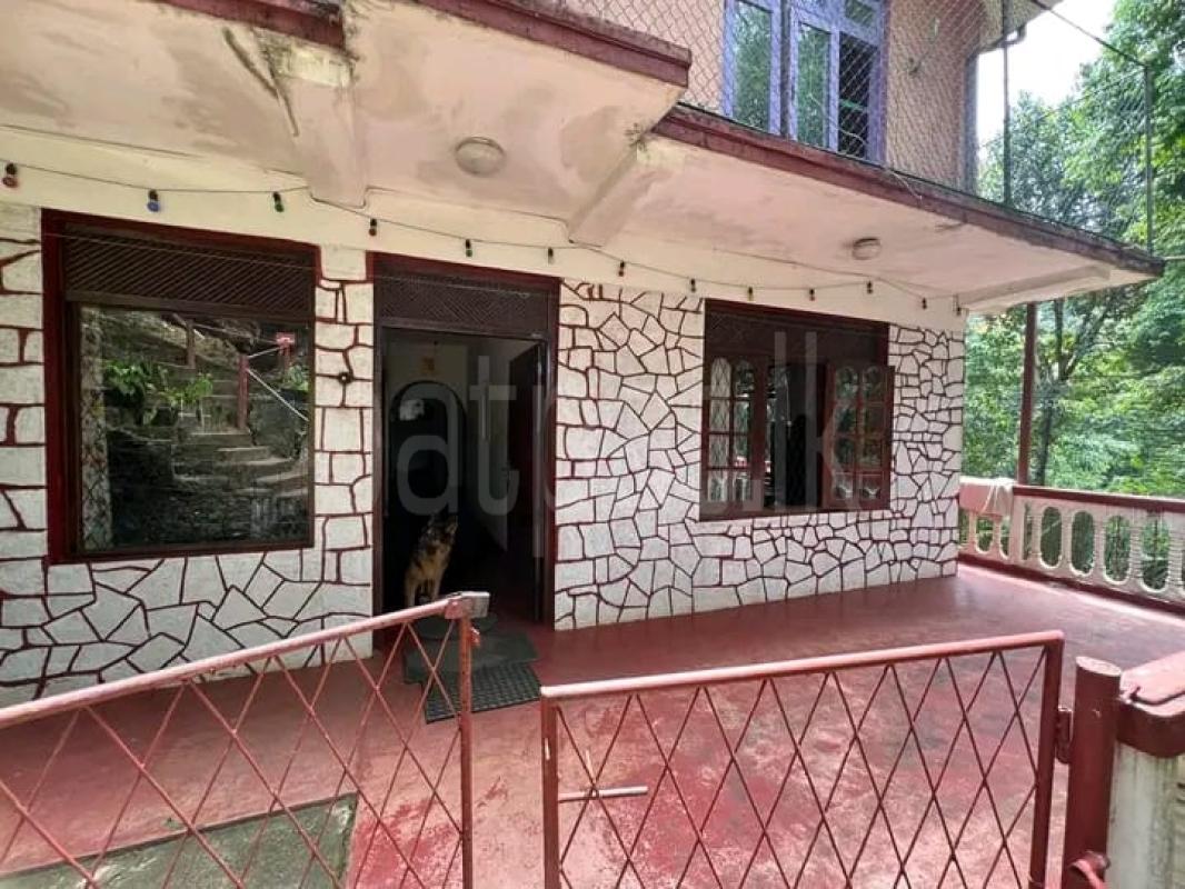 Advertisement image 6