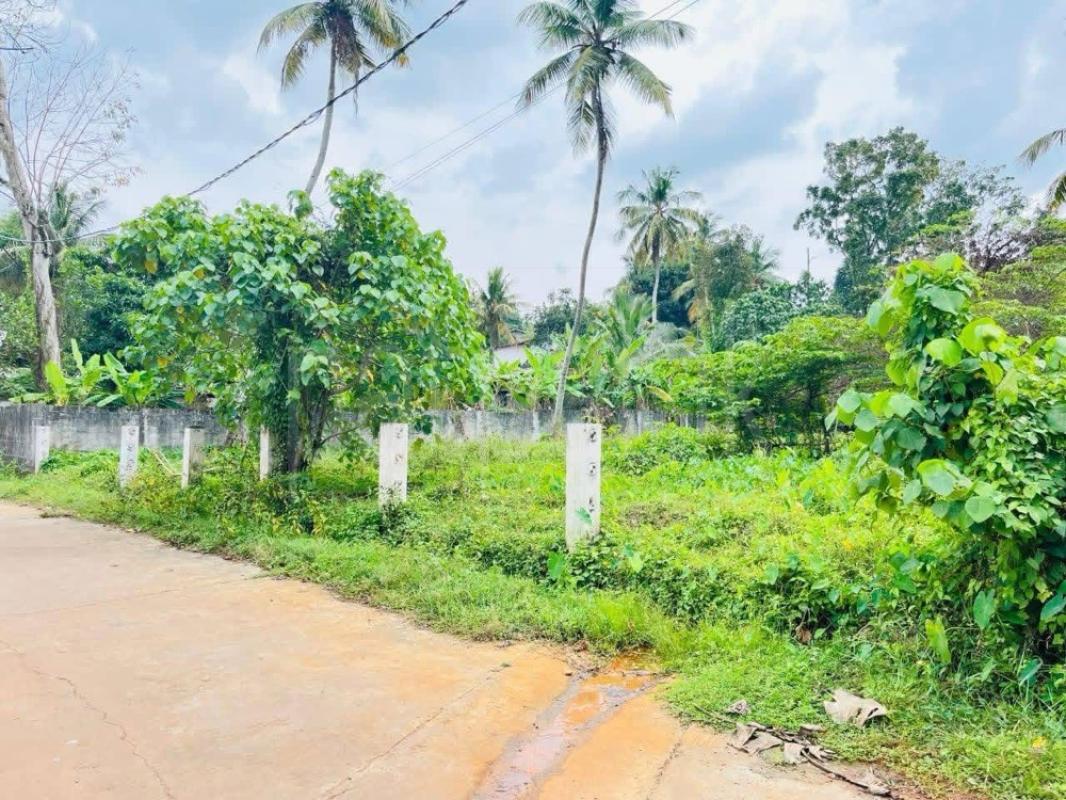 Residential Land for Sale in Panadura