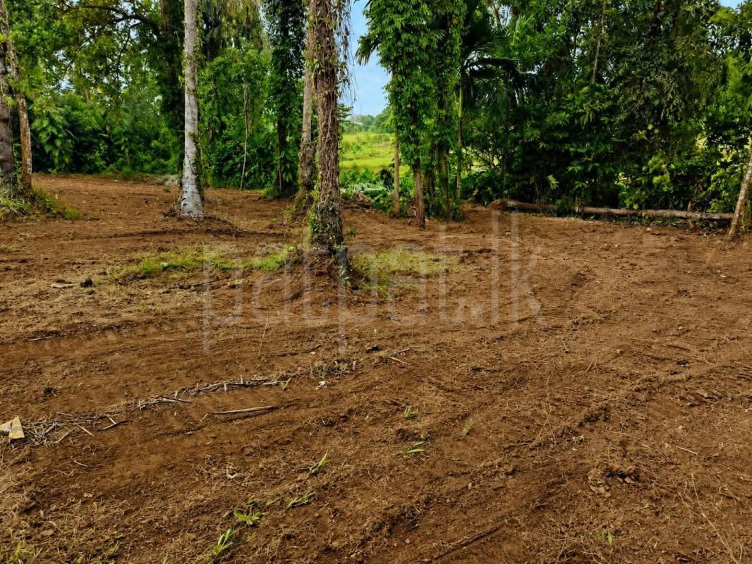 Residential Land for Sale in Kadawatha