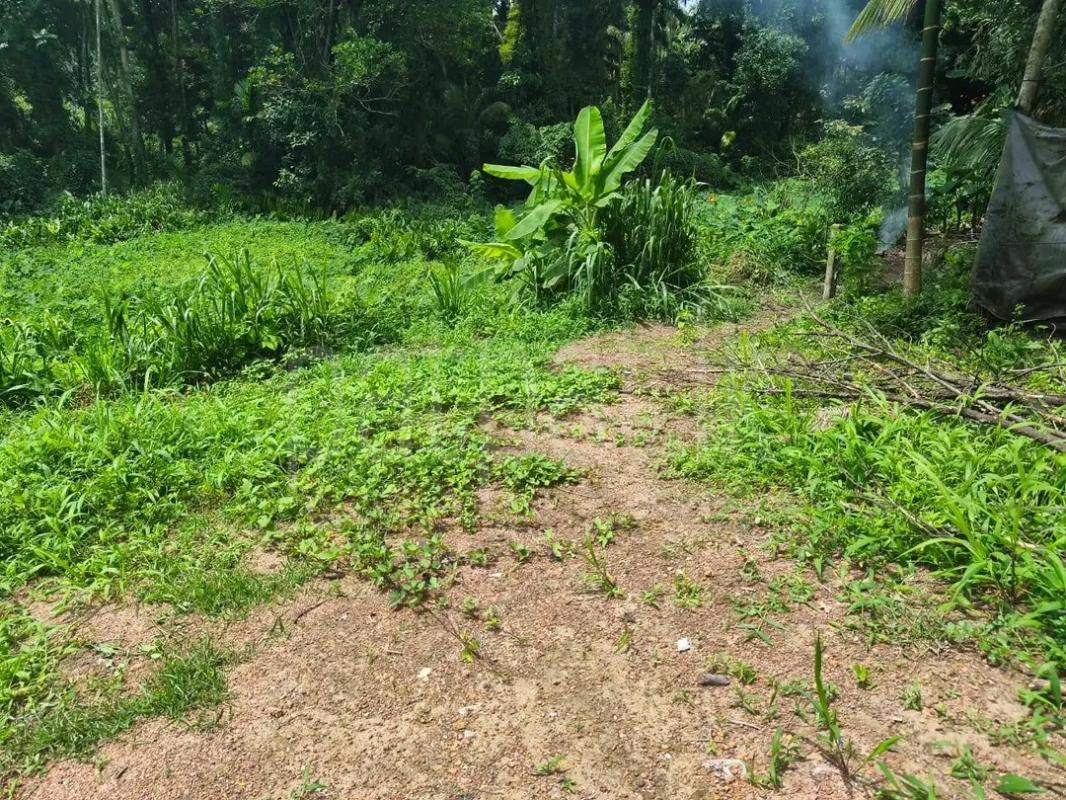 Residential Land for Sale in Weliveriya