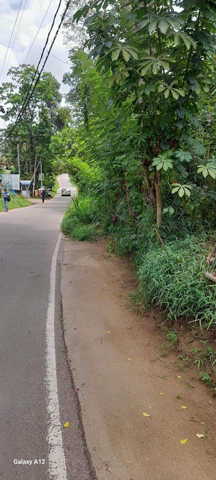 Residential Land for Sale in Digana