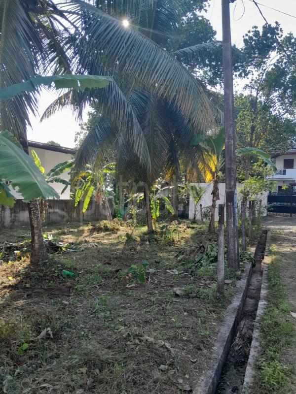 Residential Land for Sale in Bandaragama