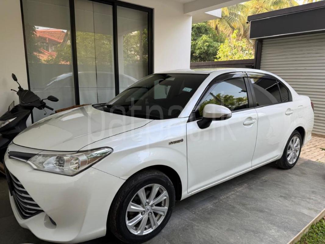 Advertisement image 4