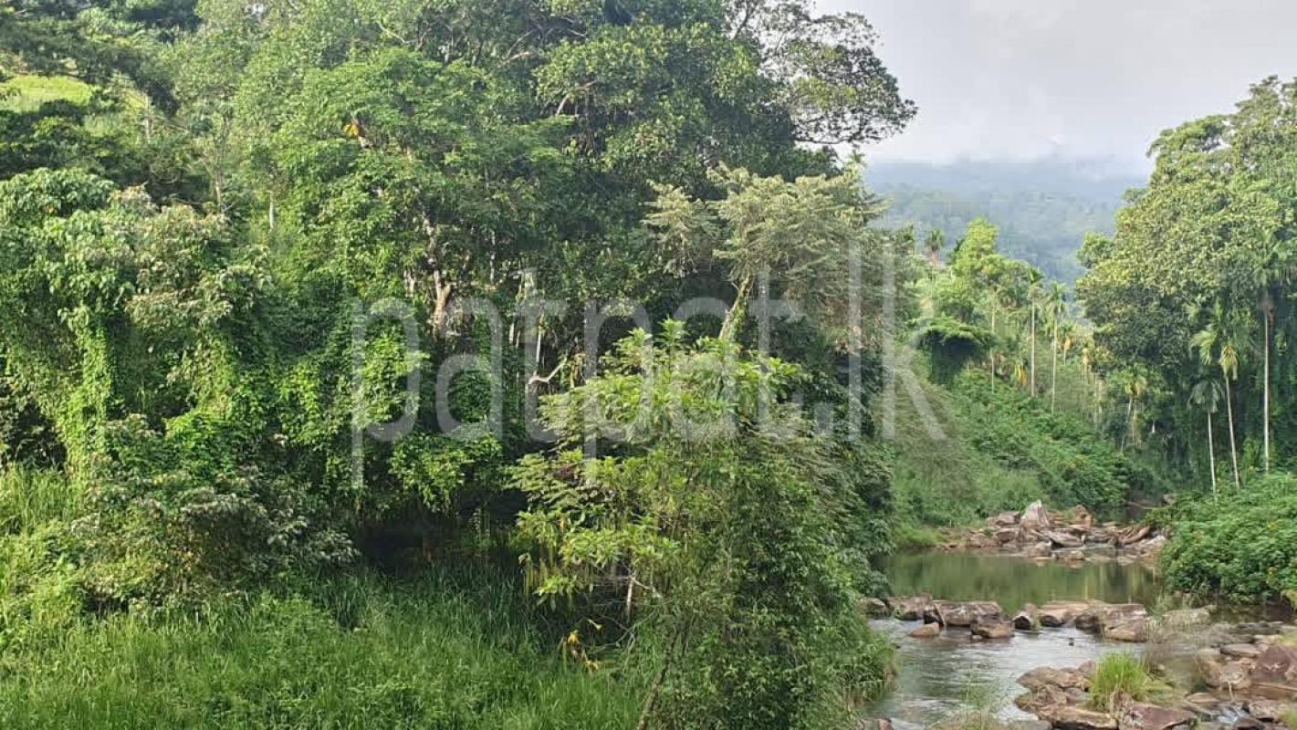 Agricultural Land for Sale in Deniyaya