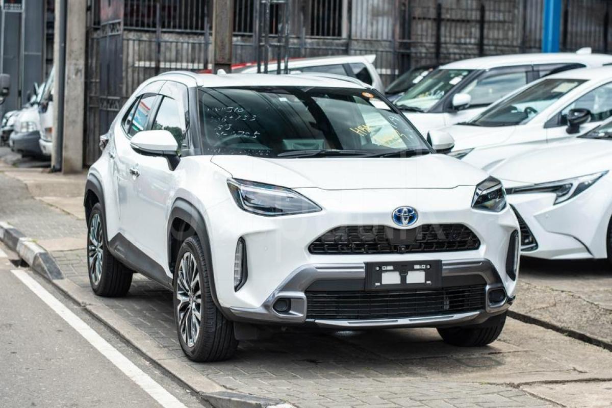 Advertisement image 1