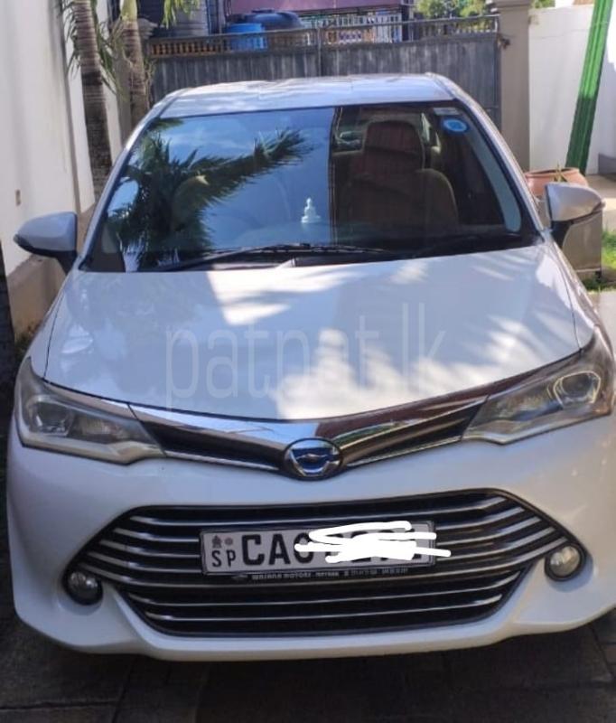 Advertisement image 3