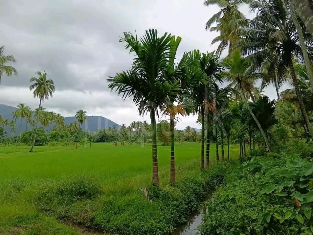 Agricultural Land for Sale in Maho