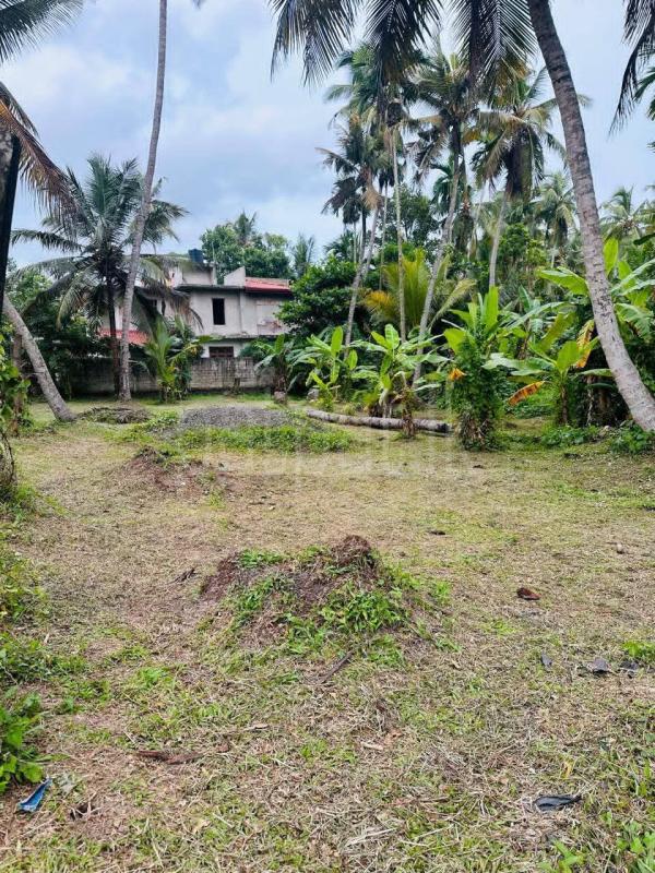 Residential Land for Sale in Ja-Ela ads-image-1