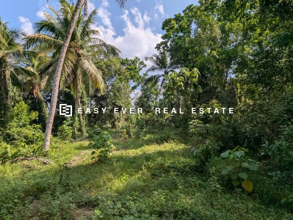 Residential Land for Sale in Urapola