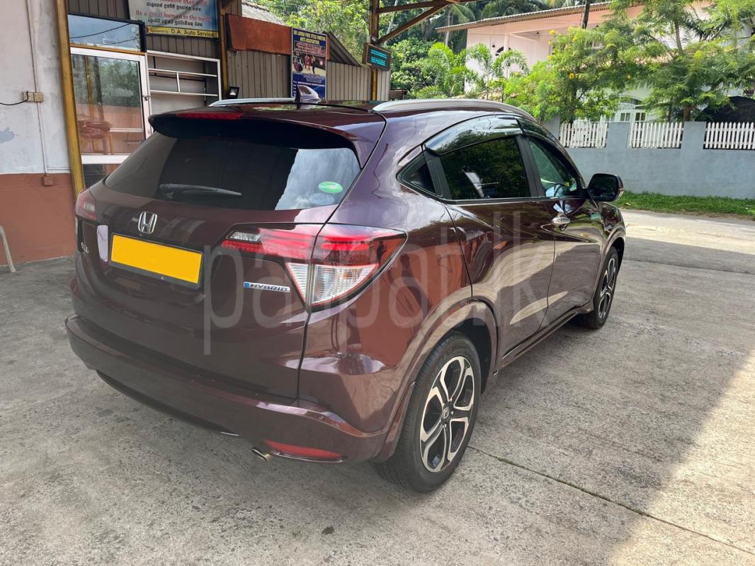 Advertisement image 3