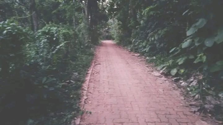 Commercial Land for Sale in Kurunegala ads-image-1