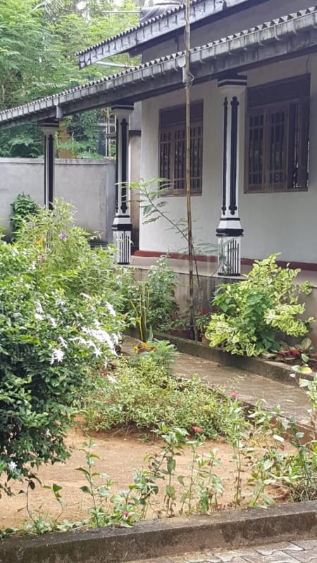 premium-listing-image