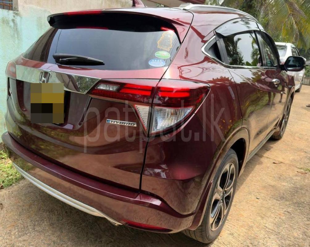 Advertisement image 3