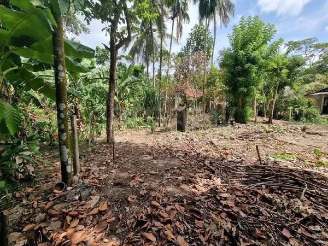 premium-listing-image