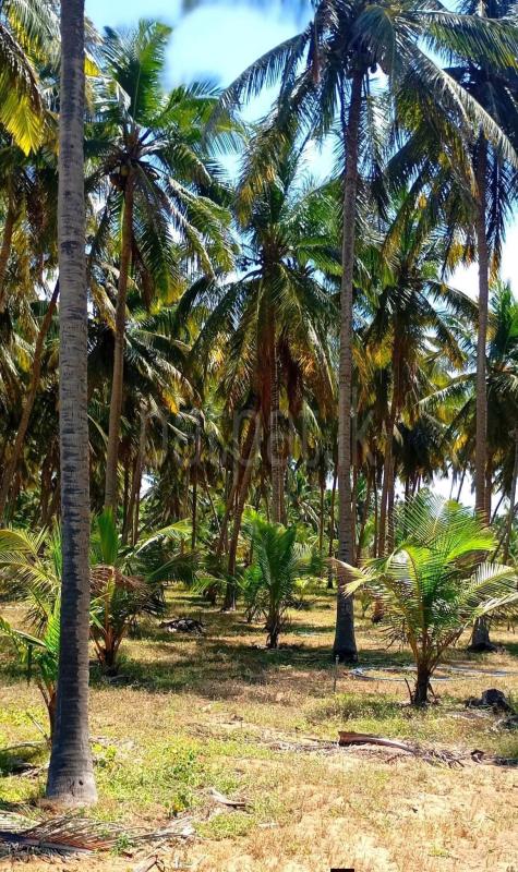Commercial Land for Sale in Kalpitiya