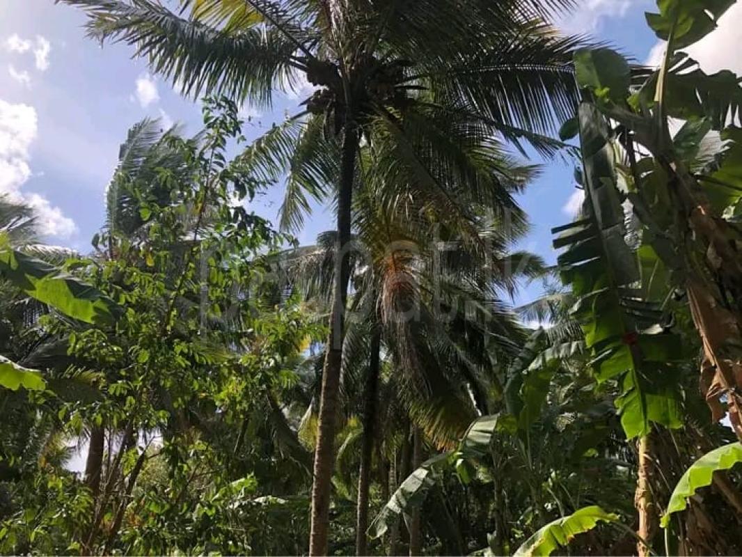 Commercial Land for Sale in Kurunegala ads-image-1