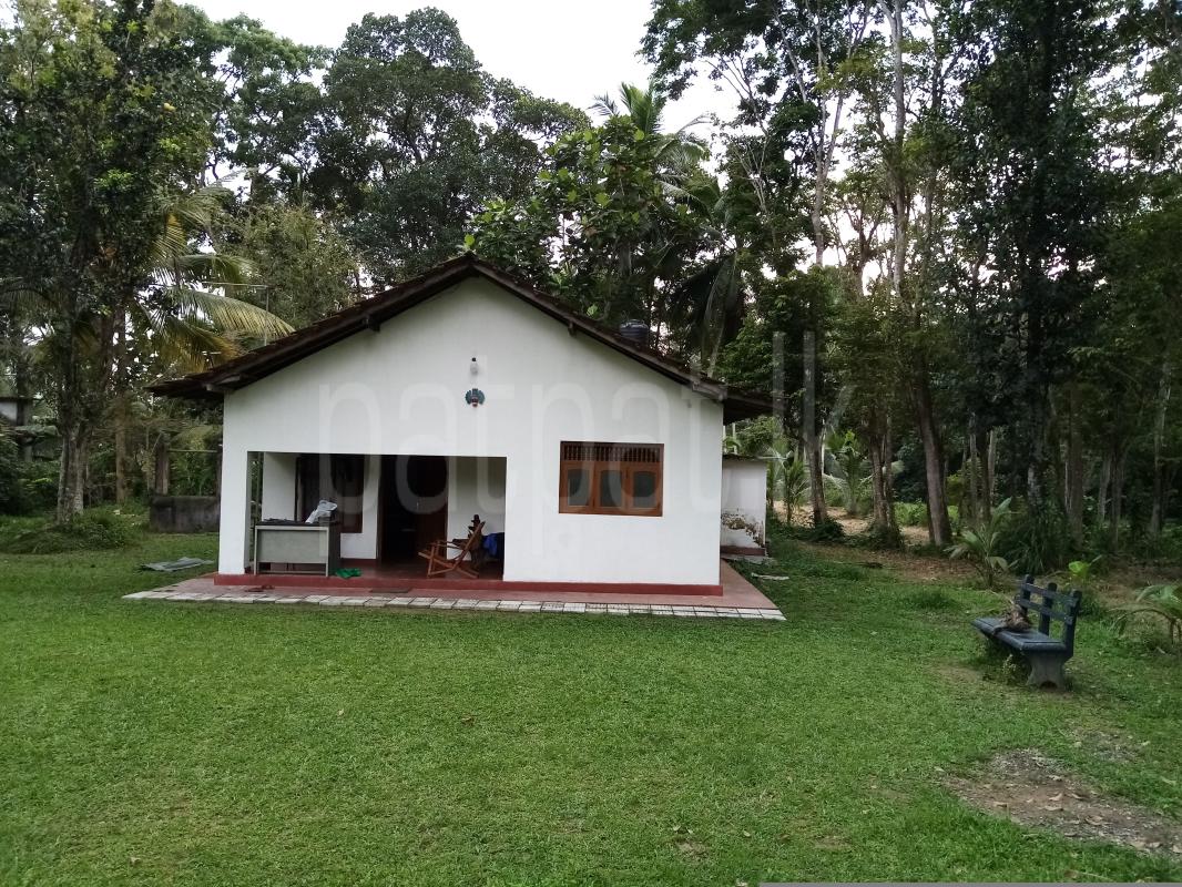 House for Sale in Divulapitiya