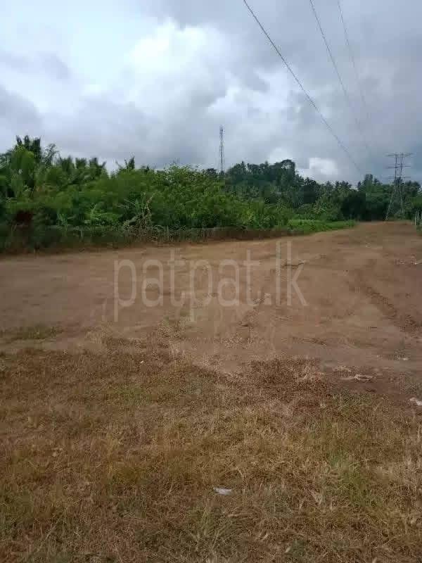 Residential Land for Sale in Ranala ads-image-1