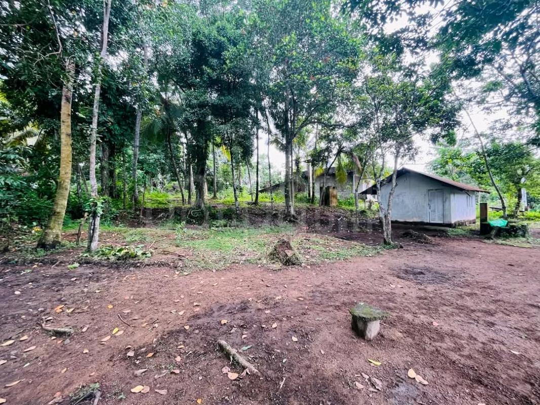 Residential Land for Sale in Weligama ads-image-1