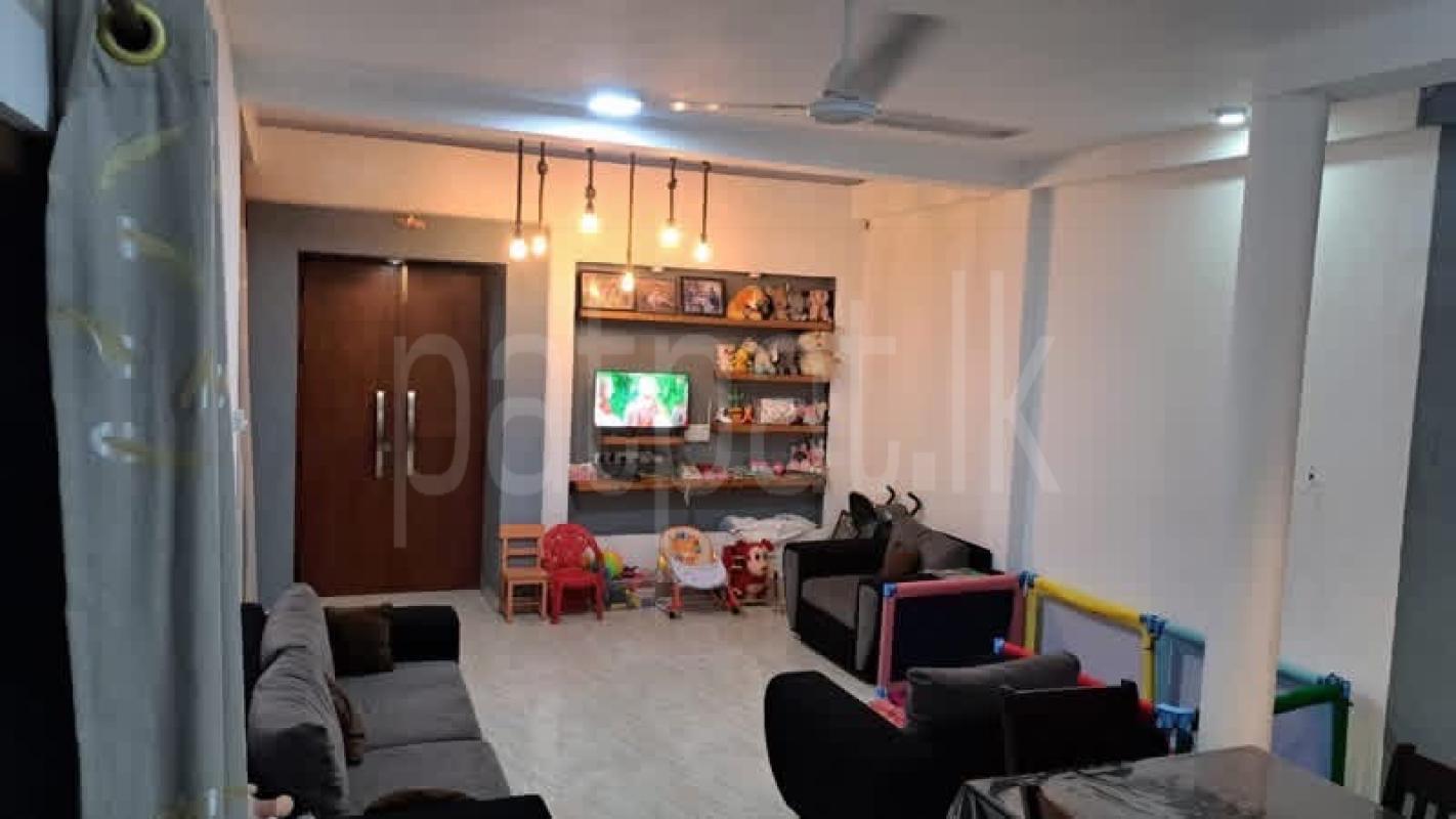 Advertisement image 6