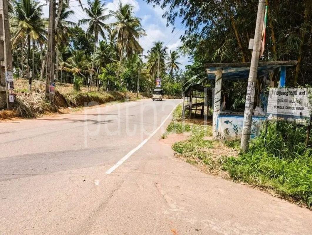 Advertisement image 4