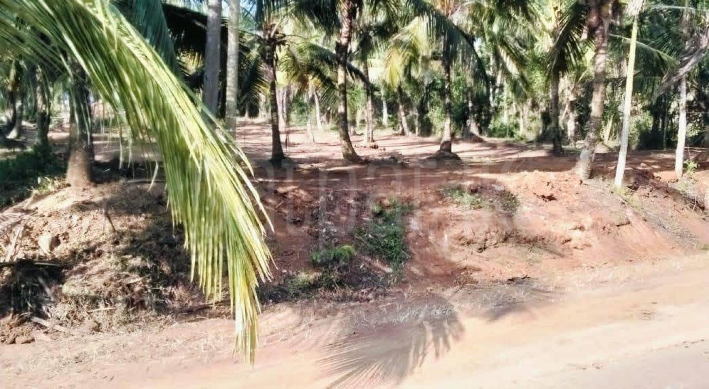 Agricultural Land for Sale in Weeraketiya