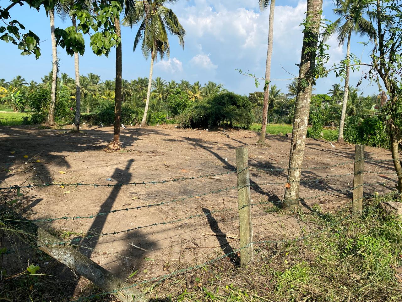 Residential Land for Sale in Polgasowita ads-image-1