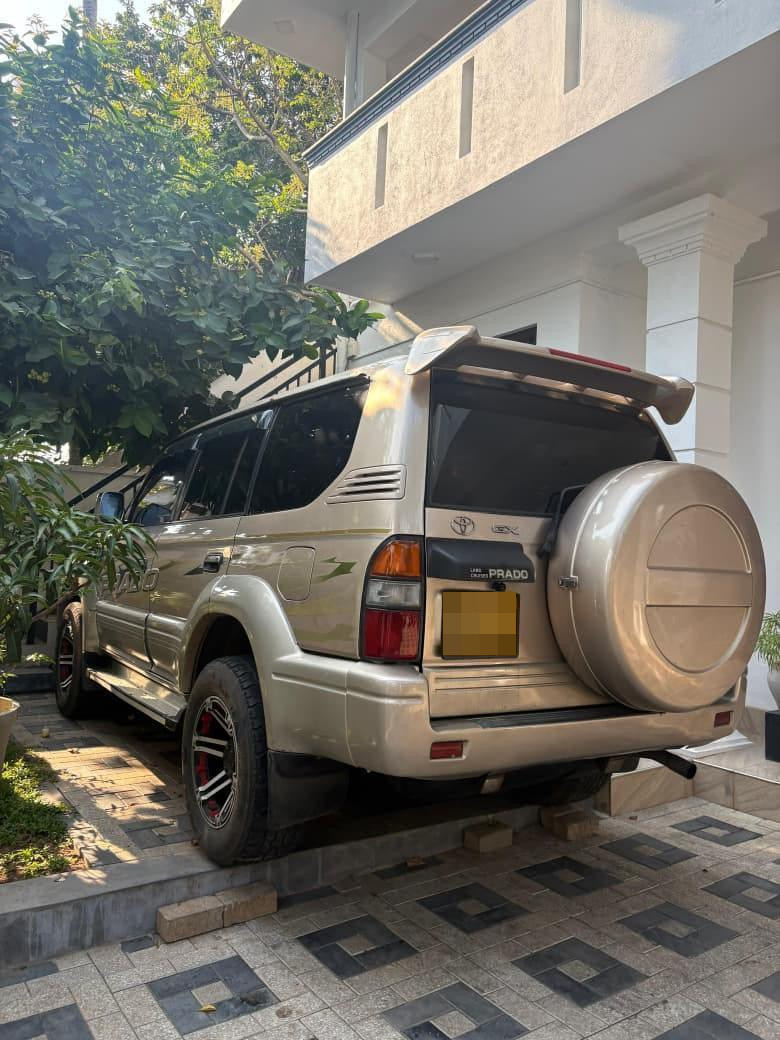 Advertisement image 3