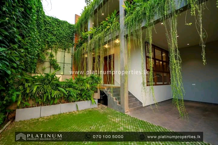 ads-image-1