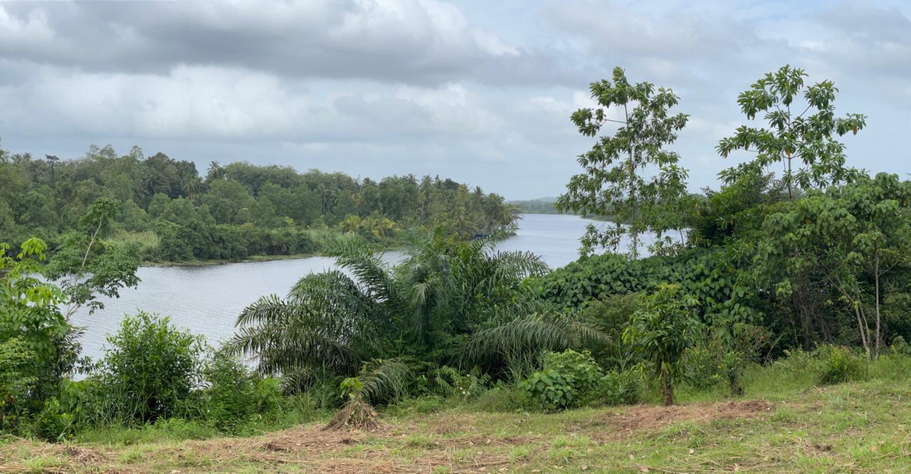 Commercial Land for Sale in Piliyandala