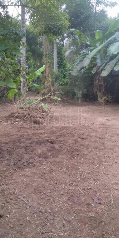 Residential Land for Sale in Madiwela